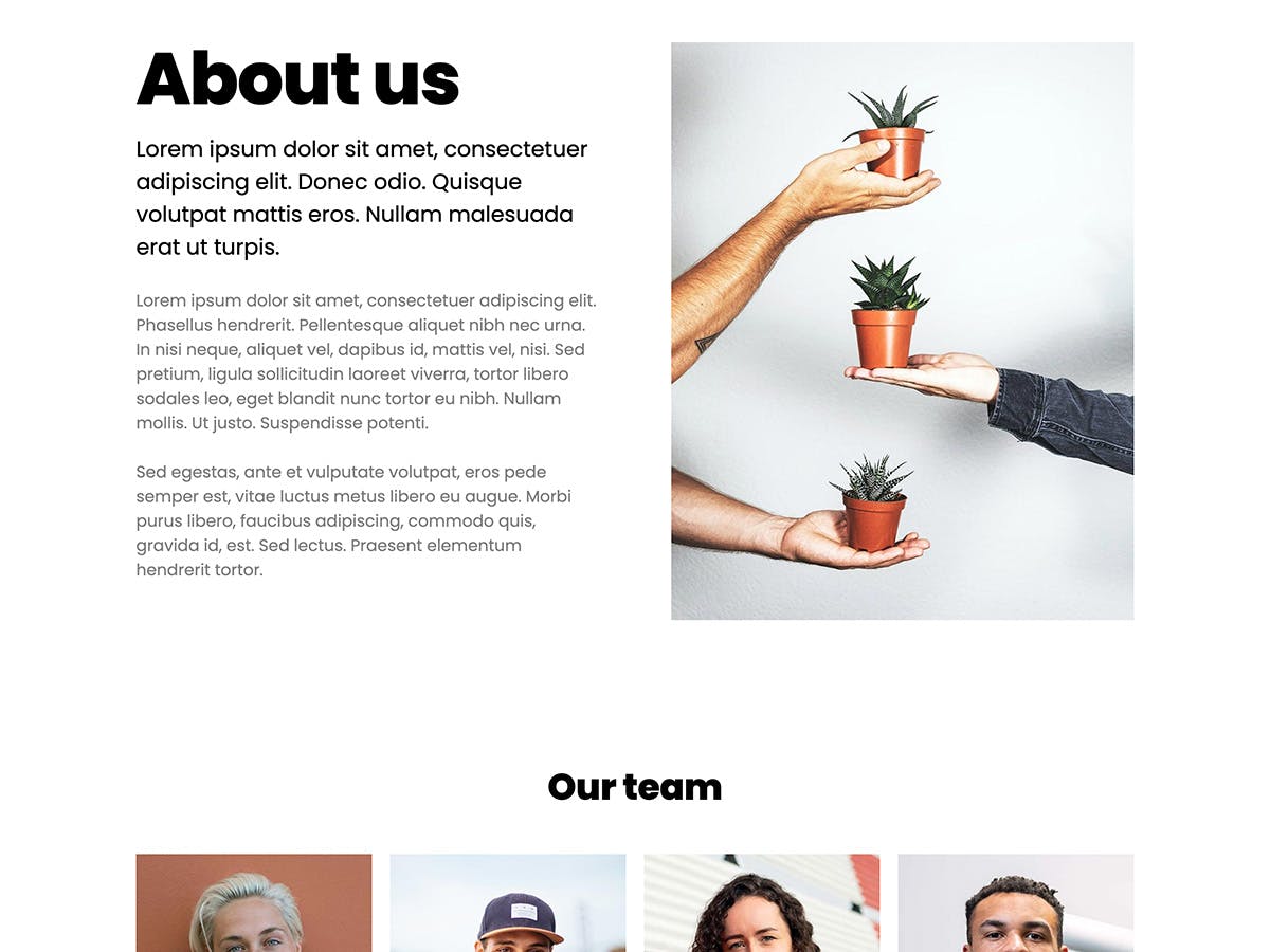 Sprout Makeswift business template about company and team